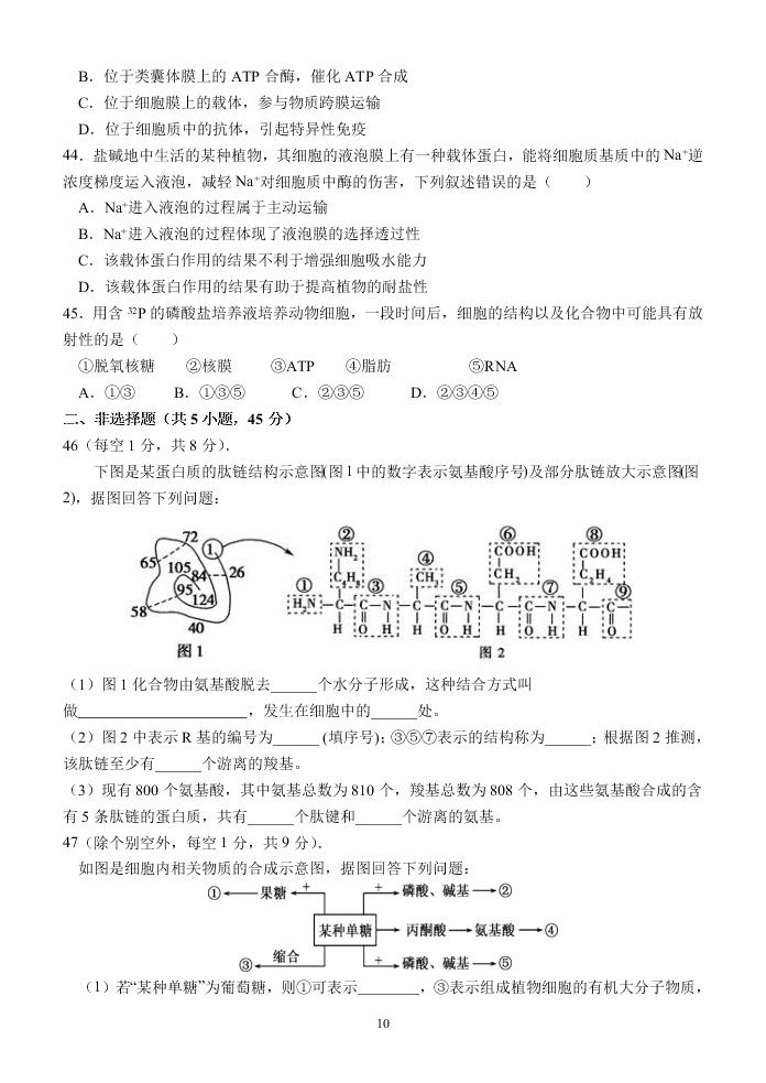 甘肃省天水一中2021届高三生物上学期第一次考试试题（Word版附答案）