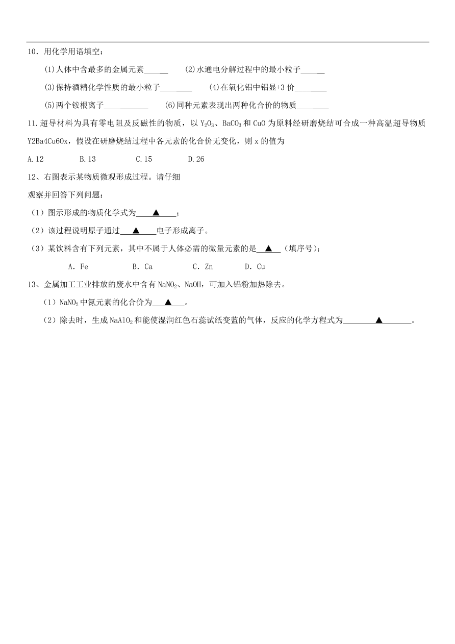 中考化学专题复习练习   化学术语专题练习卷