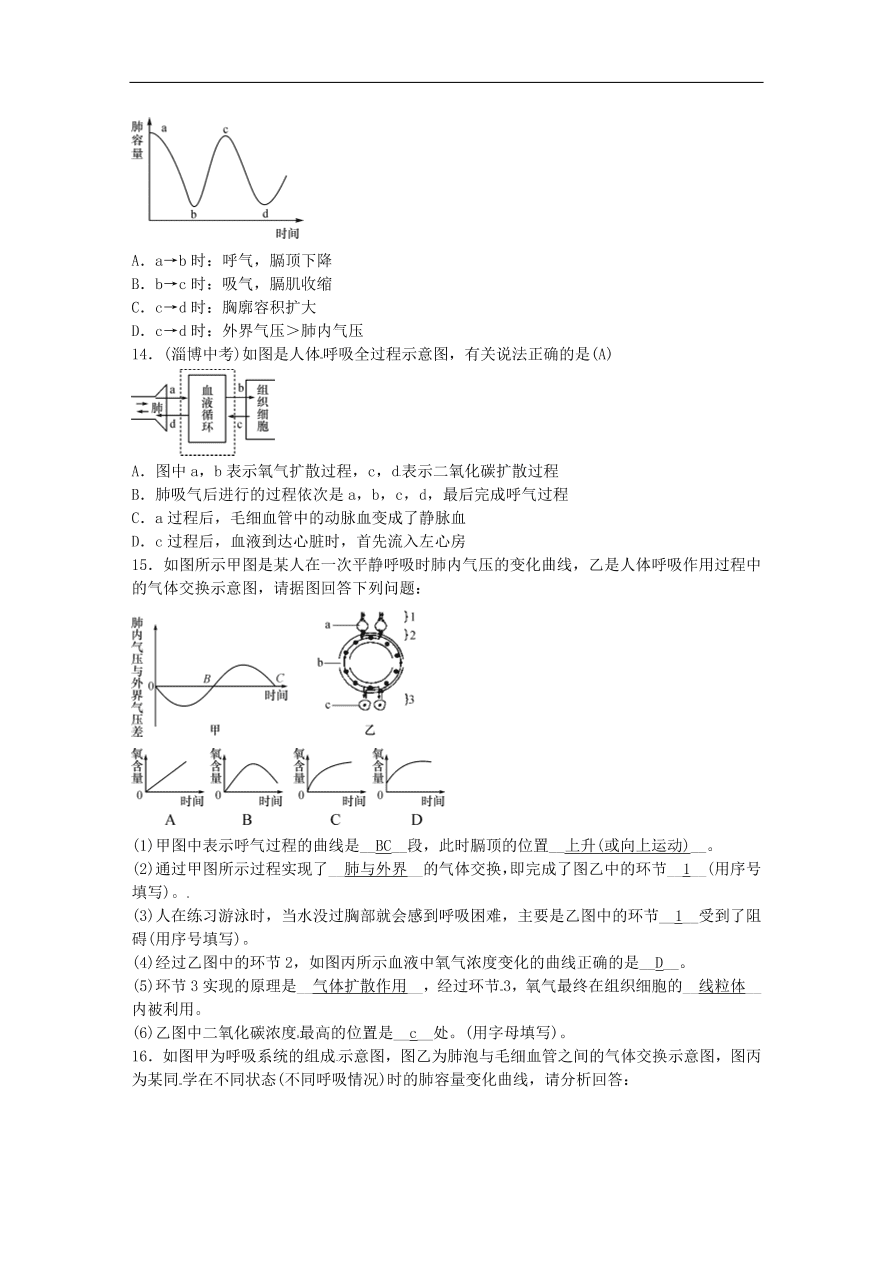 中考生物总复习主题四生物圈中的人——人体的呼吸