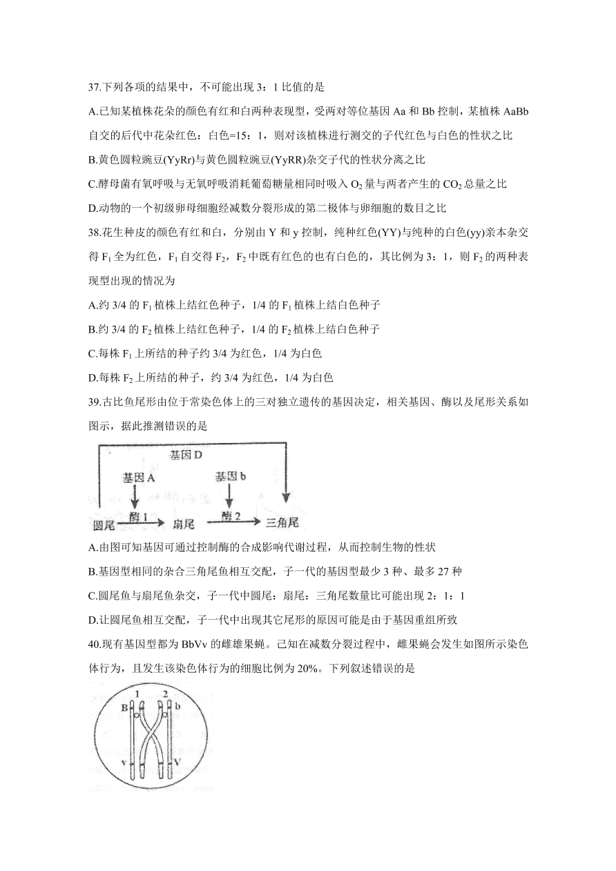 河北省衡水中学2021届高三生物上学期期中试题（Word版附答案）