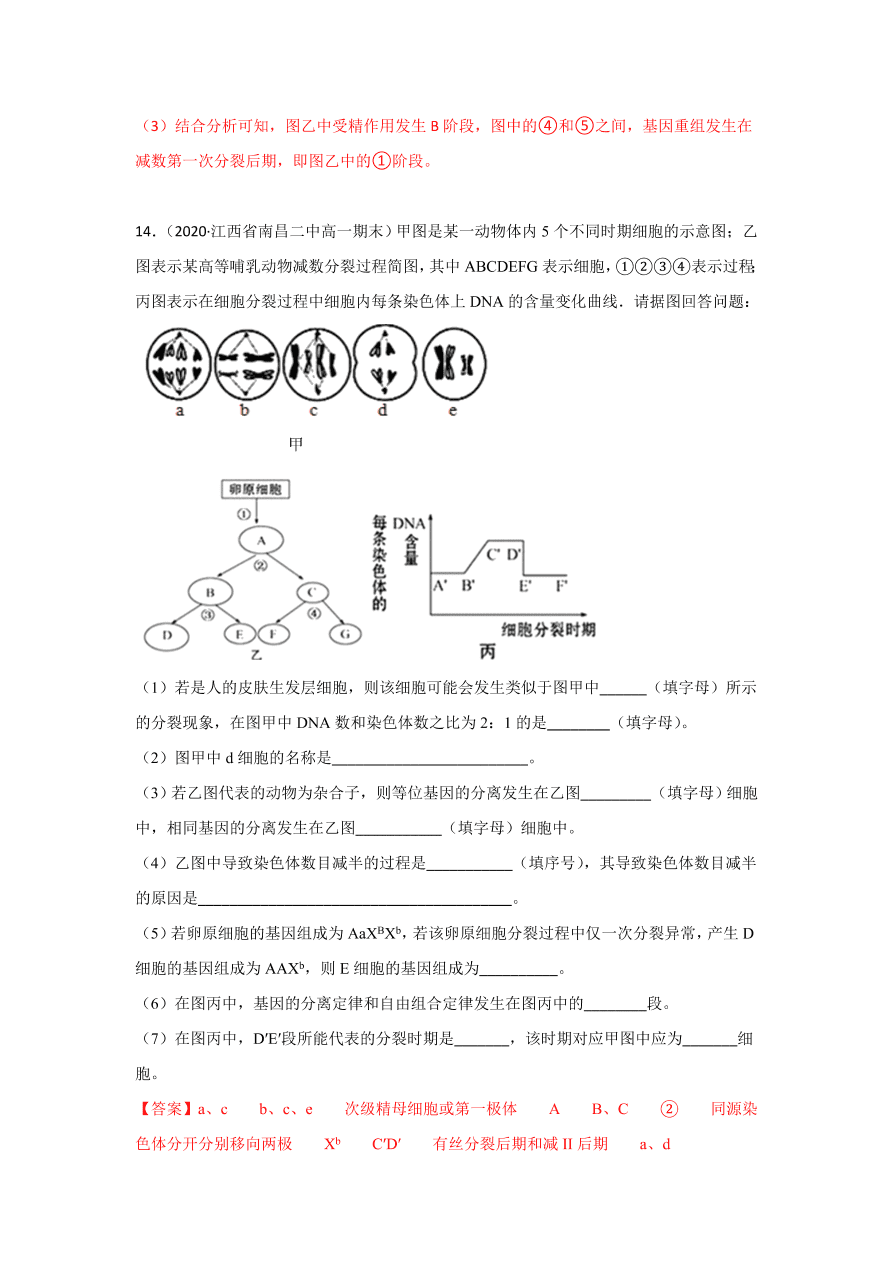 2020-2021学年高三生物一轮复习专题12 减数分裂与受精作用（练）