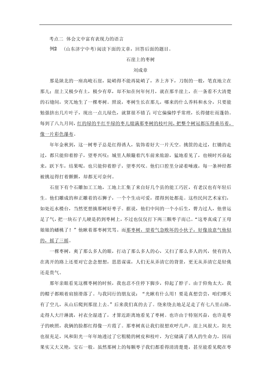 中考语文复习第二篇现代文阅读第一节文学作品阅读小说散文阅读讲解