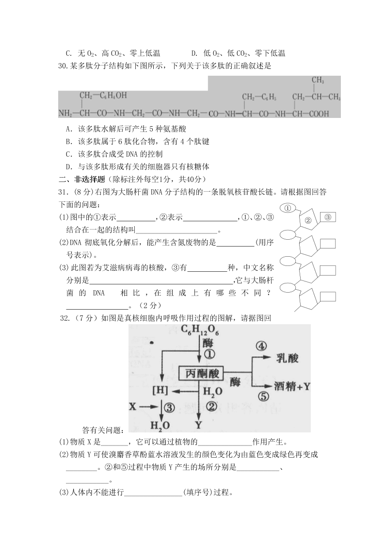 2020届甘肃省庆阳市宁县第二中学高二下生物期中考试试题（无答案）