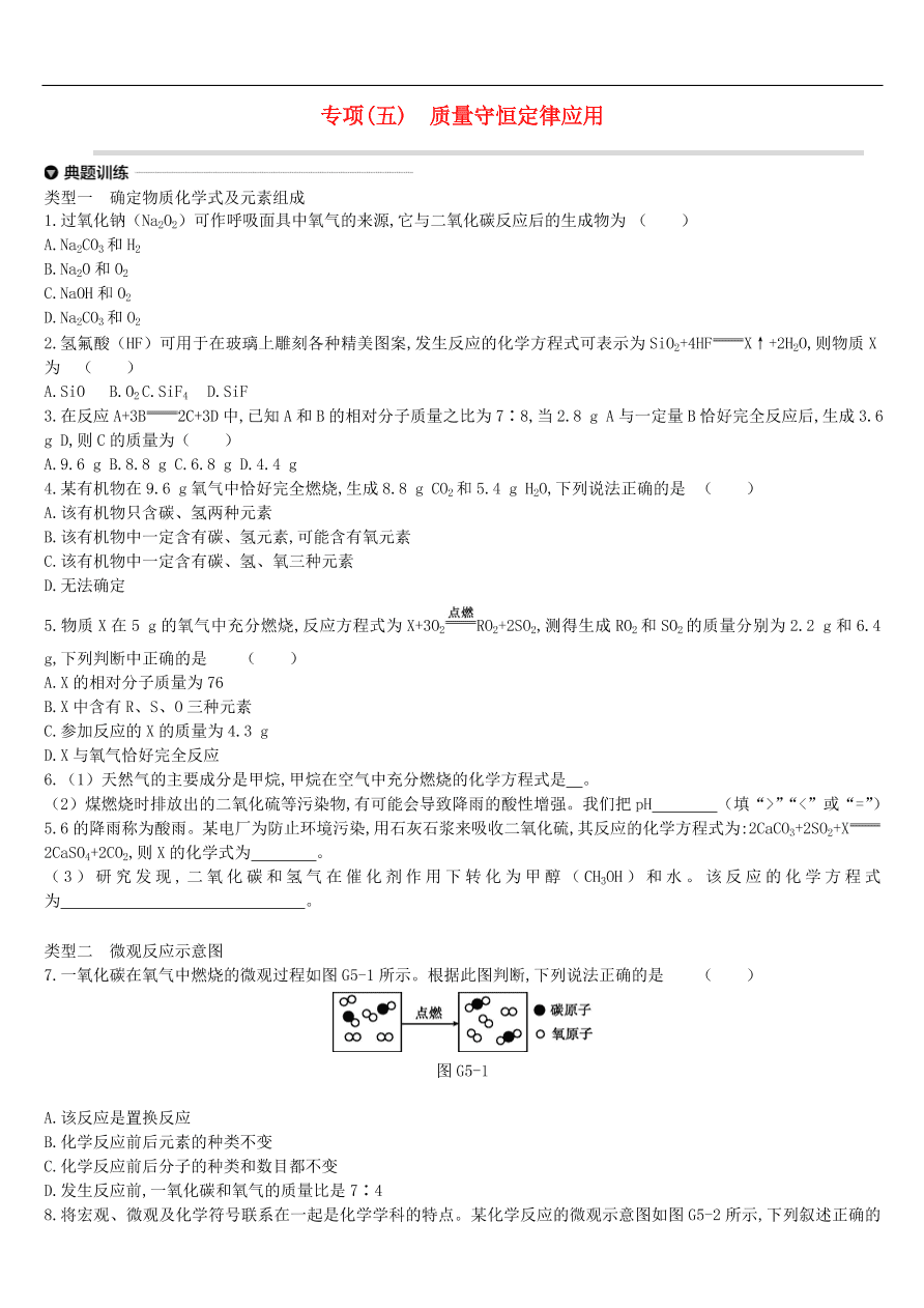 中考化学专项复习专题五 质量守恒定律应用练习