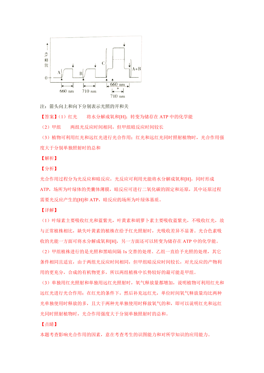 2020-2021学年高三生物一轮复习易错题03 细胞的代谢2（光合与呼吸）