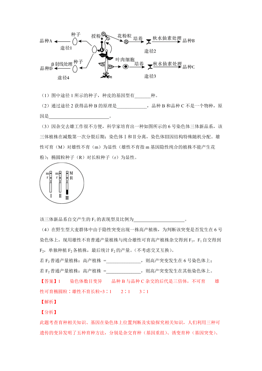2020-2021学年高三生物一轮复习易错题08 生物的变异与育种