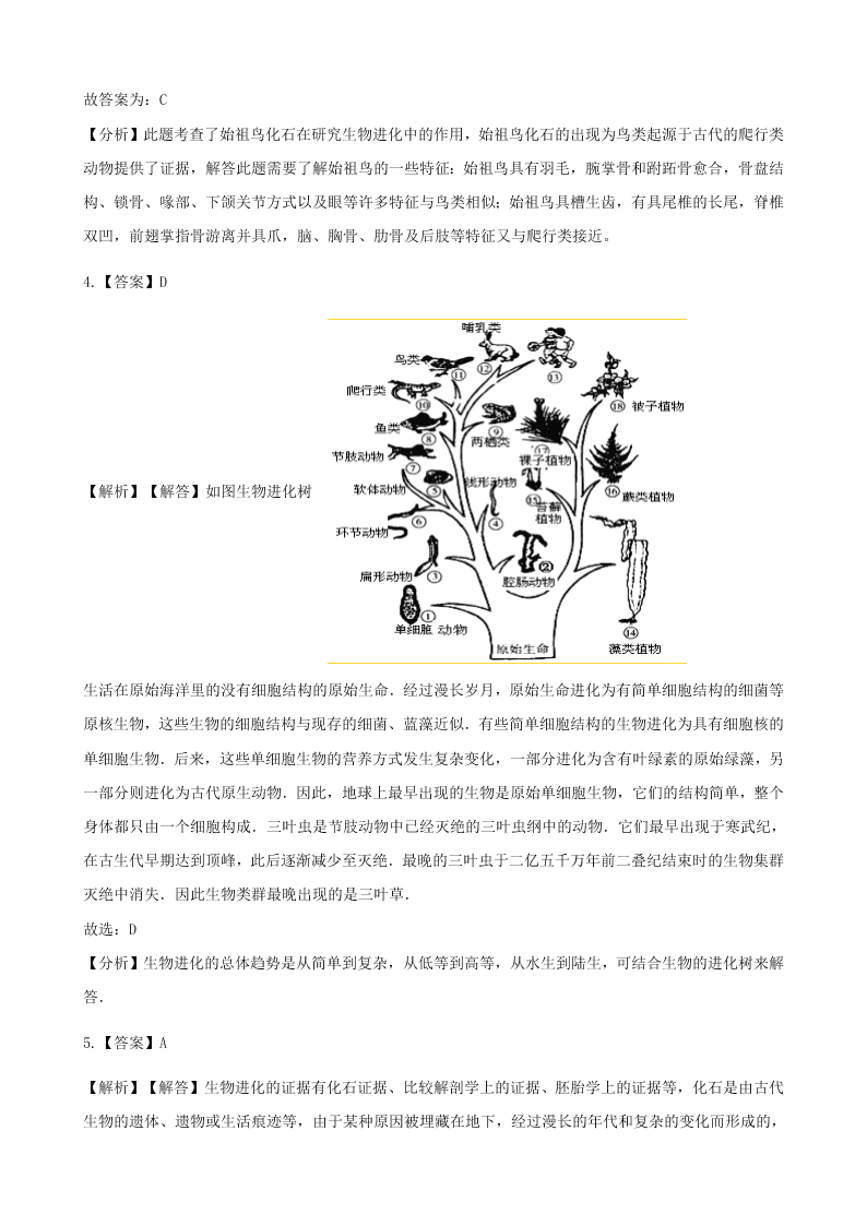 人教版八年级下生物第七单元第三章第二节生物进化的历程  同步练习（答案）