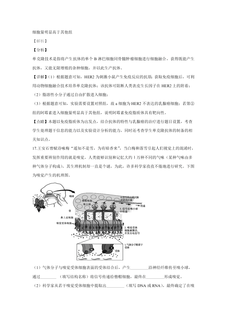 北京市朝阳区2020届高三生物二模试题（Word版附解析）