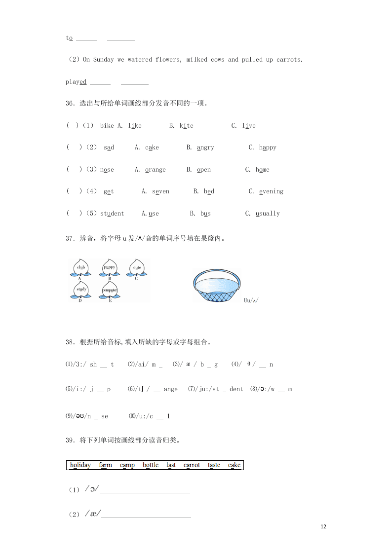 2020小升初英语知识专项训练：常见字母和字母组合（word版含解析）