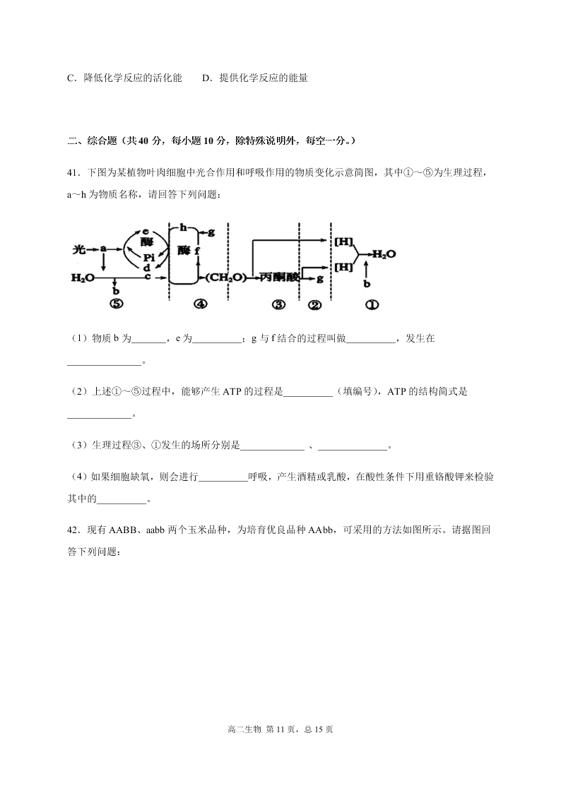 四川省成都外国语学校2020-2021高二生物10月月考试题（Word版附答案）