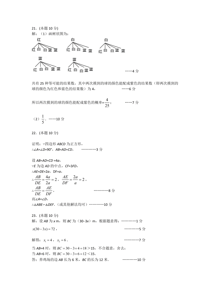 寿宁县九年级数学上册期中测试卷及参考答案