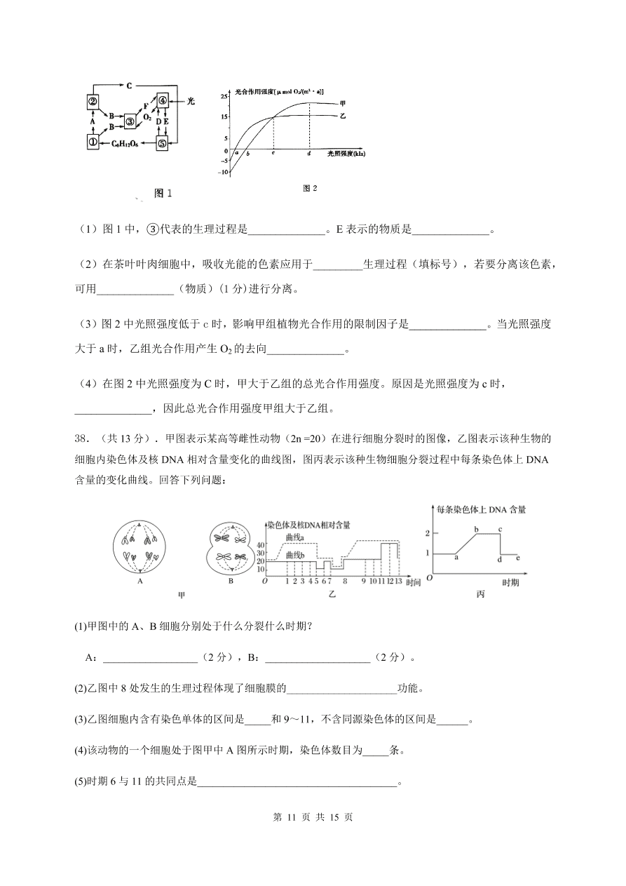 吉林省长春市第五中学2021届高三生物上学期期中试题（Word版含答案）