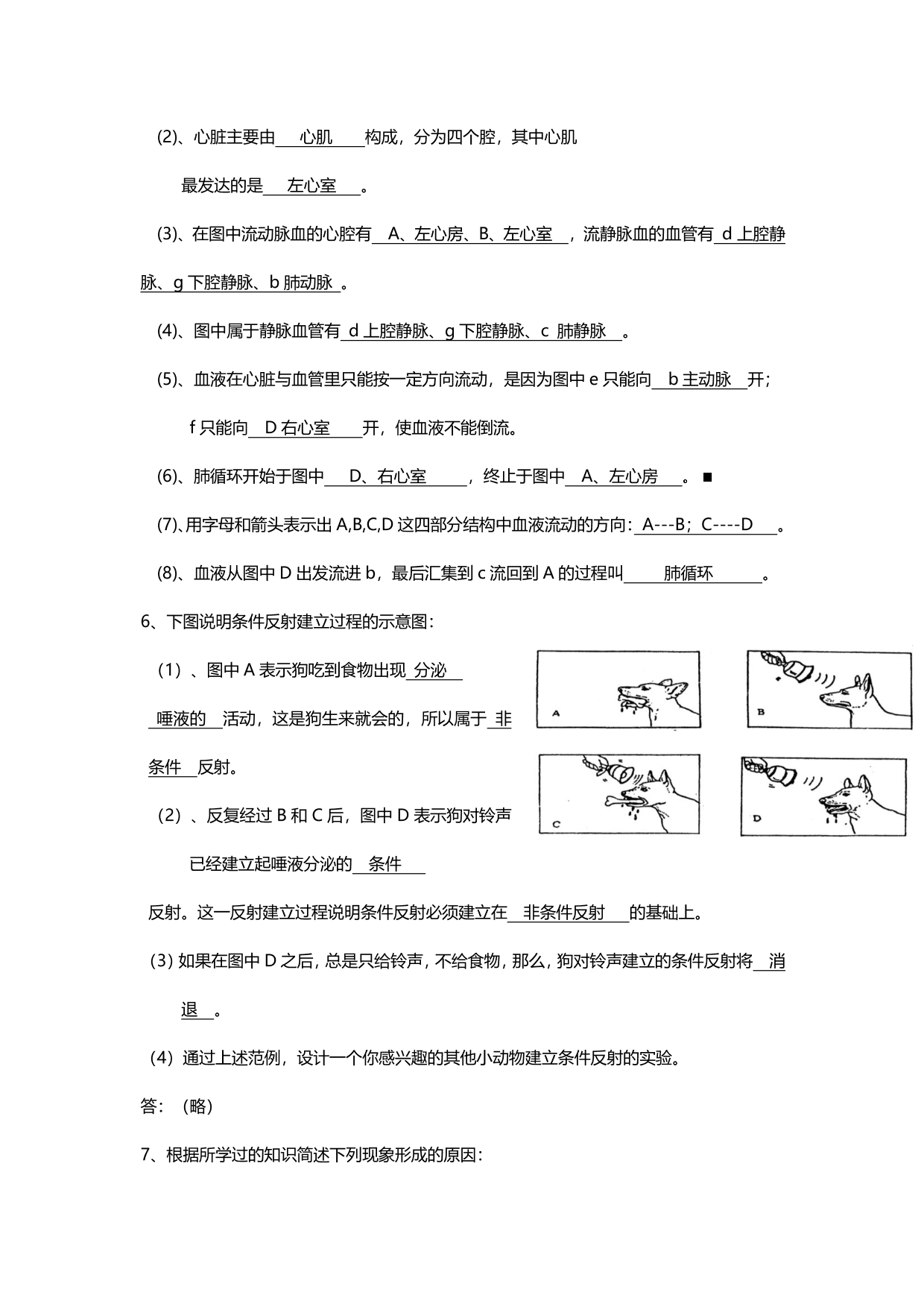 暑期预习衔接2020初一上学期生物全册知识点总结（pdf版）