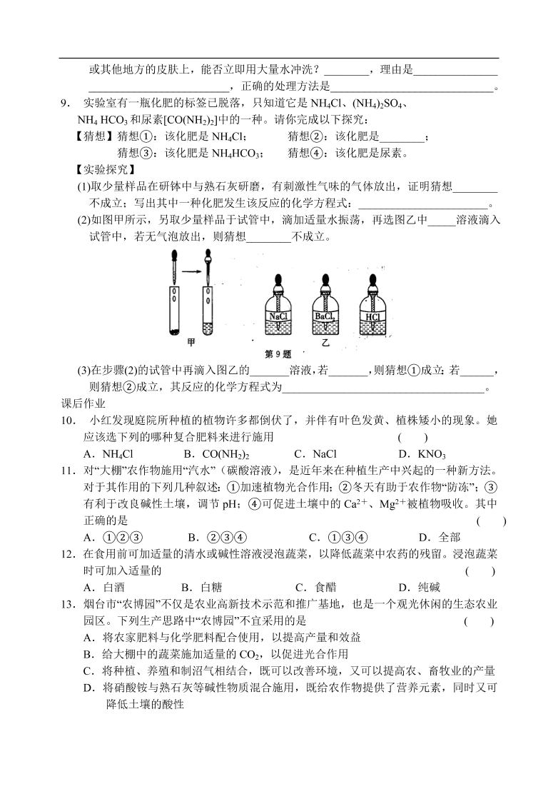 九年级化学专题复习  酸、碱、盐的应用1  练习