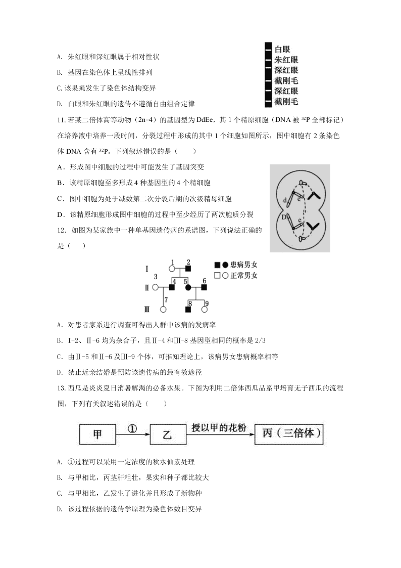 湖北省新高考联考协作体2020-2020高二生物上学期开学联考试题（Word版附答案）