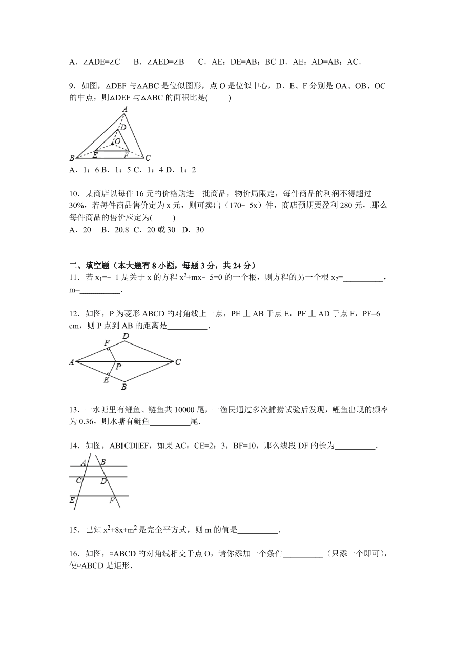 山东省菏泽市九年级数学上册期中测试卷及参考答案