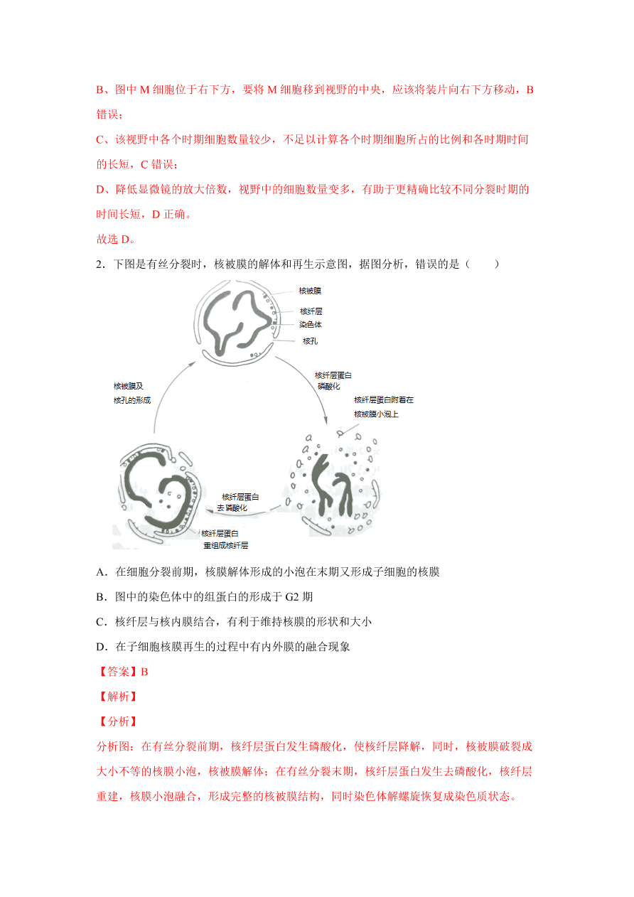 2020-2021学年高三生物一轮复习易错题04 细胞的生命历程