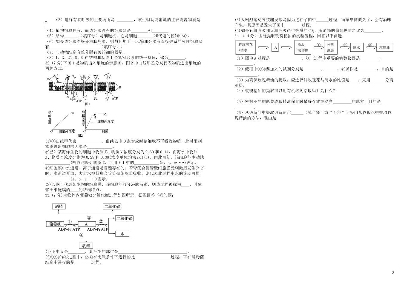  吉林省长春外国语学校2020学年高二下学期生物期末考试试卷（含答案）