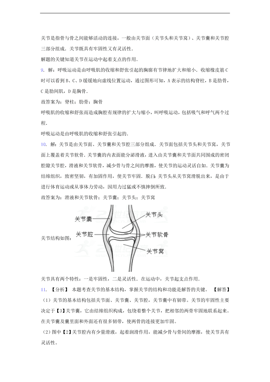 人教版八年级生物上册《动物的运动》同步练习及答案