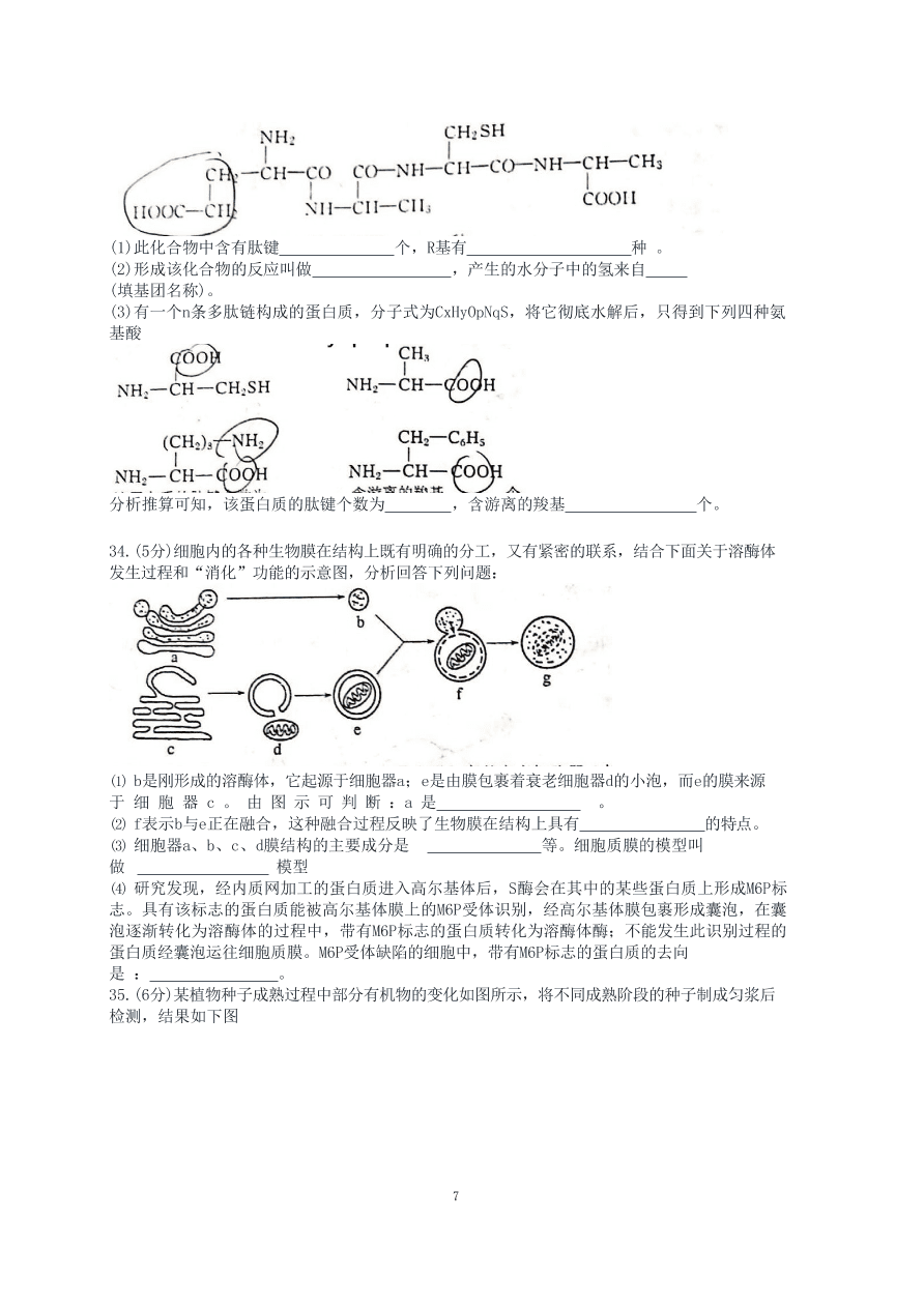 江苏省南京师大附中2020-2021高一生物上学期期中试卷（Word版附答案）