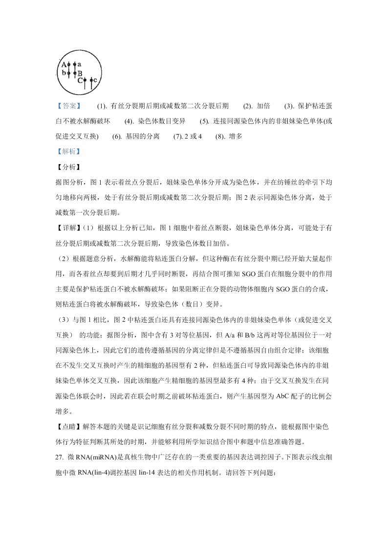 山东省聊城市九校2020-2021高二生物上学期开学联考试题（Word版附解析）