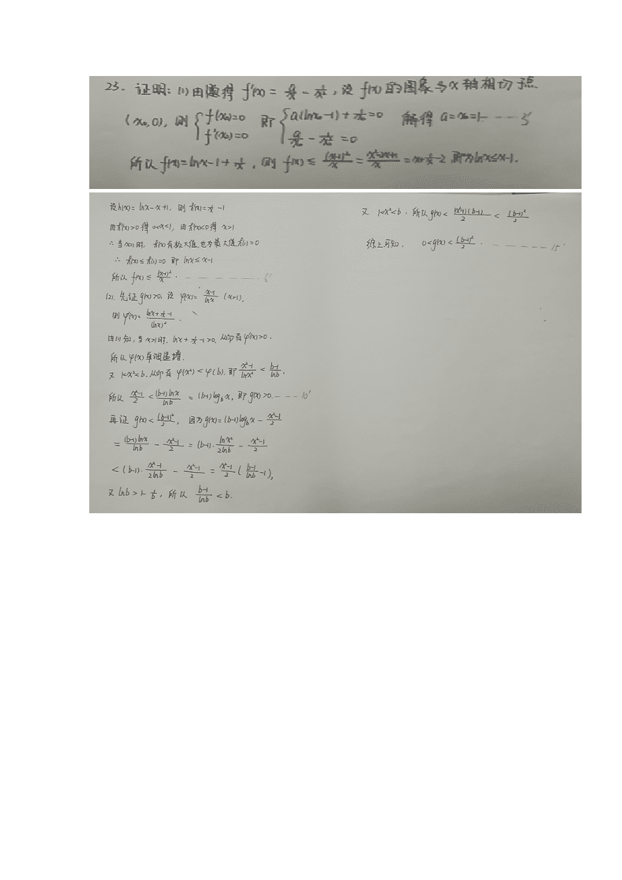 山东省聊城第一中学2020届高三数学上学期期中试题（Word版附答案）