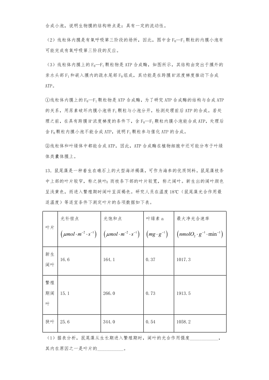 人教版高三生物下册期末考点复习题及解析：呼吸作用与光合作用