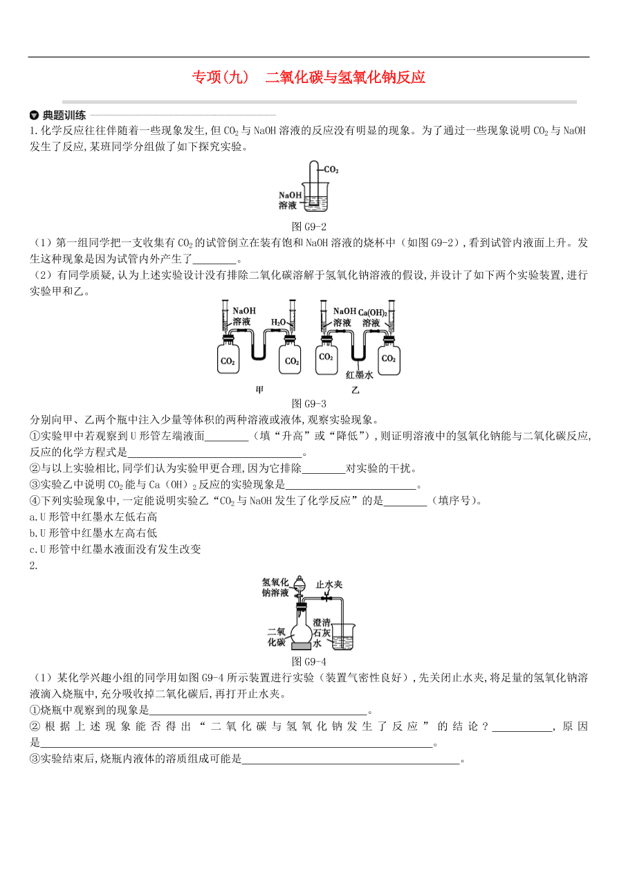 中考化学专项复习专题九 二氧化碳与氢氧化钠反应练习