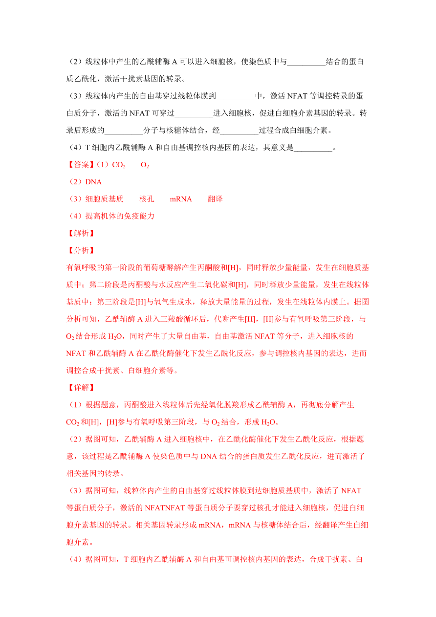 2020-2021学年高三生物一轮复习易错题03 细胞的代谢2（光合与呼吸）