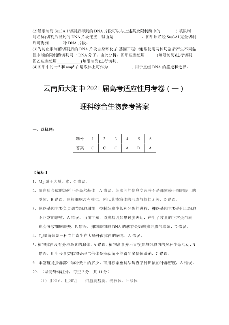 云南师范大学附属中学2021届高三生物高考适应性月考试卷（一）（Word版附答案）