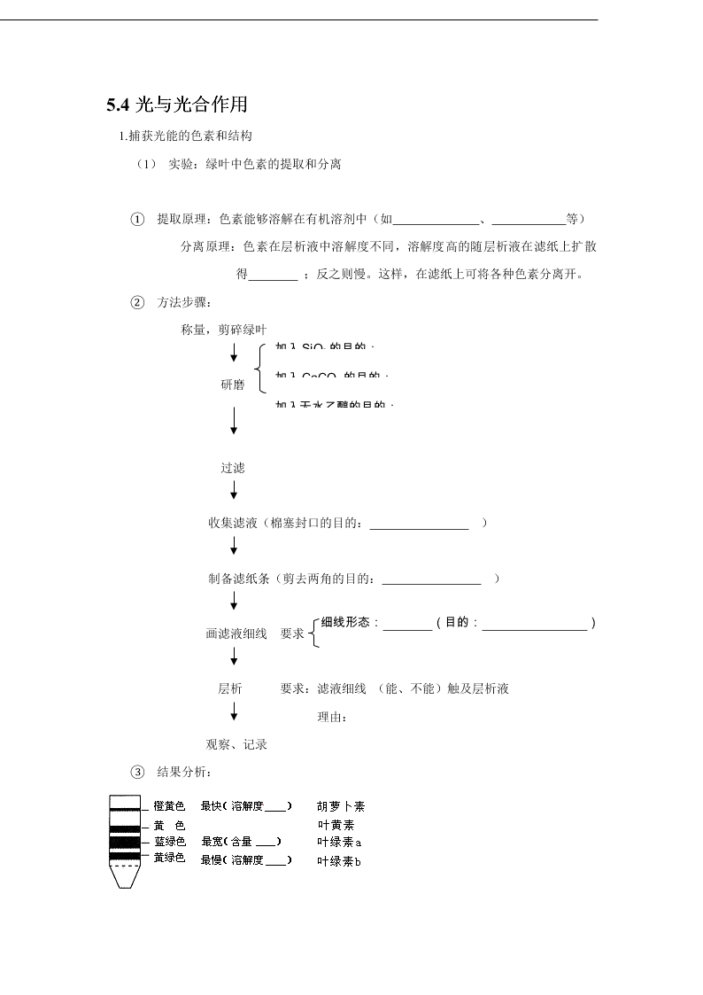 2020-2021年高考生物一轮复习知识点练习第05章 细胞的能量供应和利用（必修1）