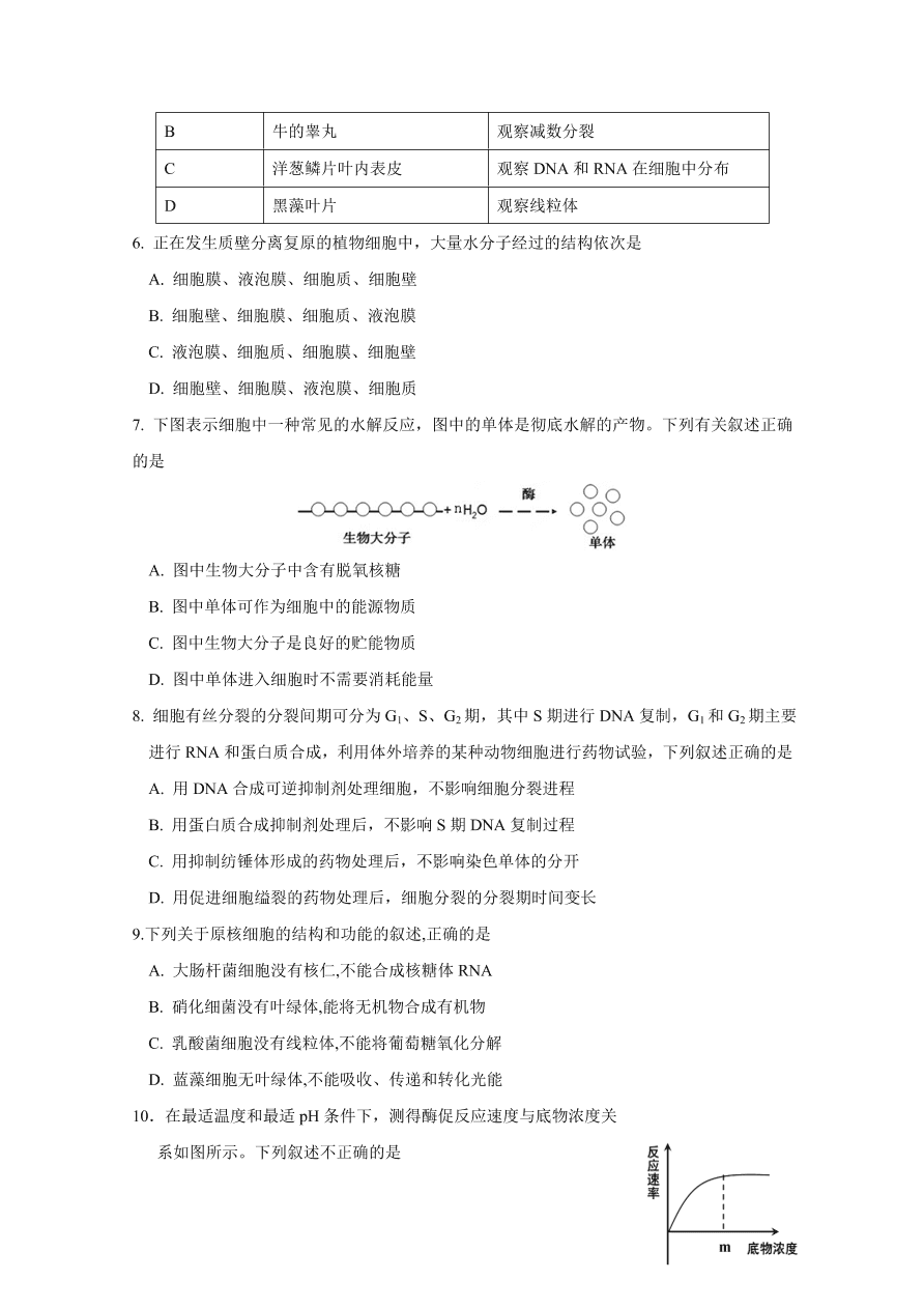 江西省南昌市第二中学2021届高三生物上学期第四次考试试题（Word版附答案）