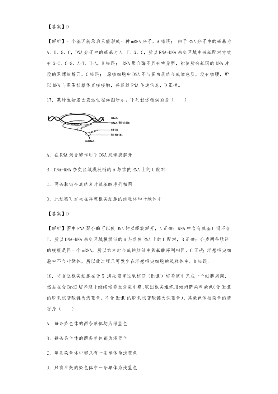 人教版高三生物下册期末考点复习题及解析：DNA是主要的遗传物质、结构、复制和基因的表达