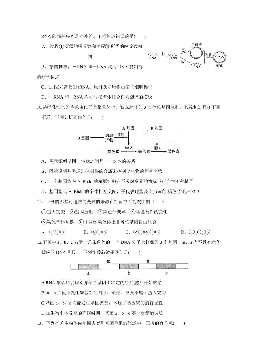 江西省南昌市第二中学2020-2021高二生物上学期期中试题（Word版附答案）