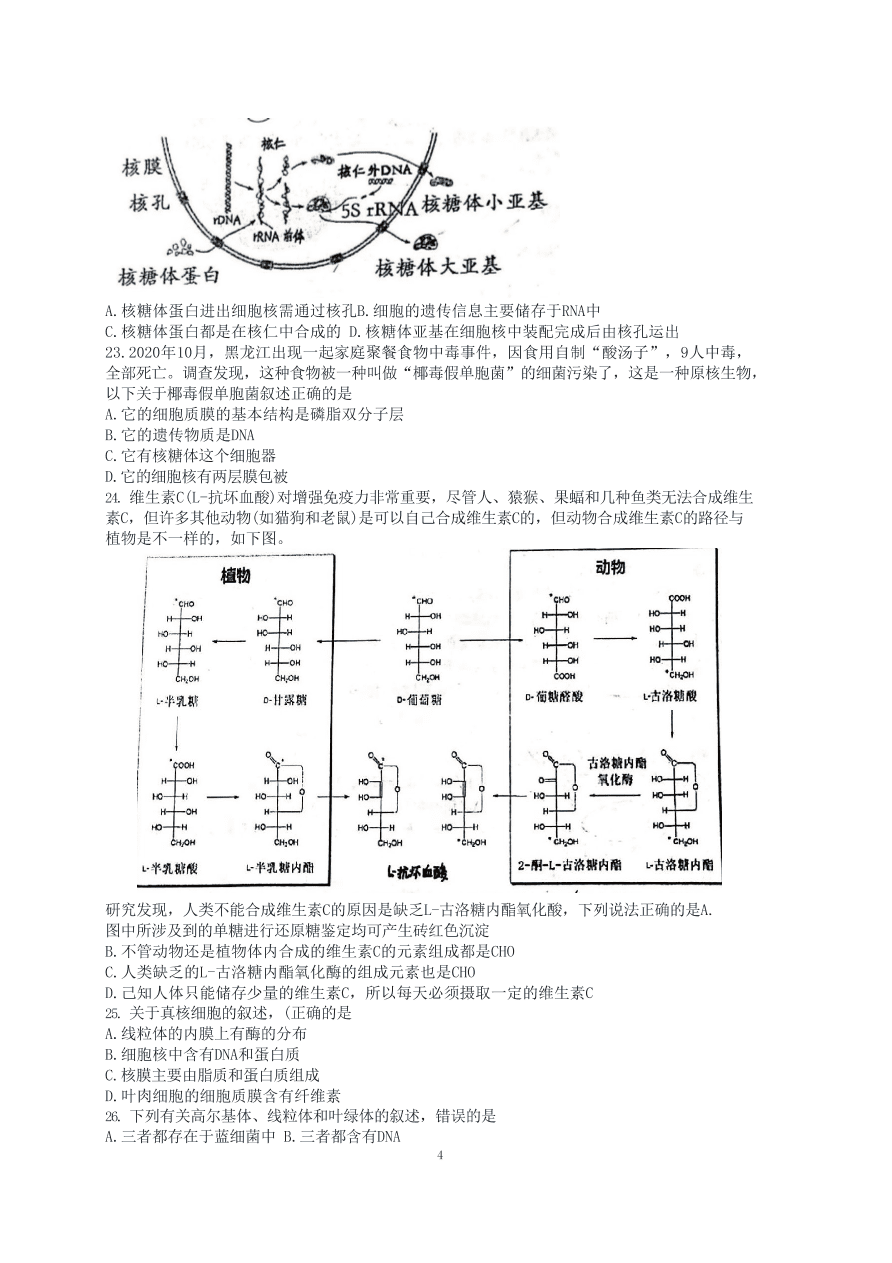 江苏省南京师大附中2020-2021高一生物上学期期中试卷（Word版附答案）