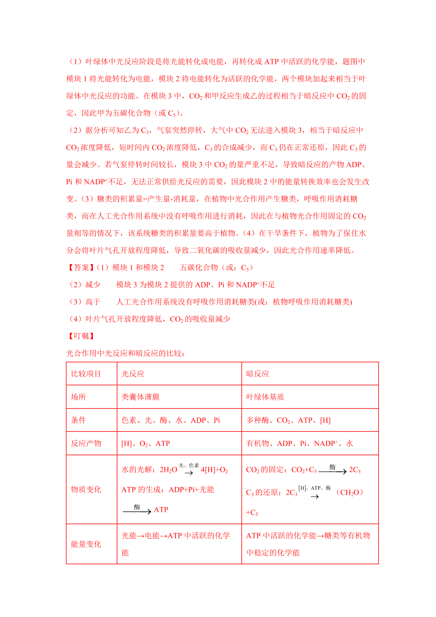 2020-2021学年高三生物一轮复习易错题03 细胞的代谢2（光合与呼吸）