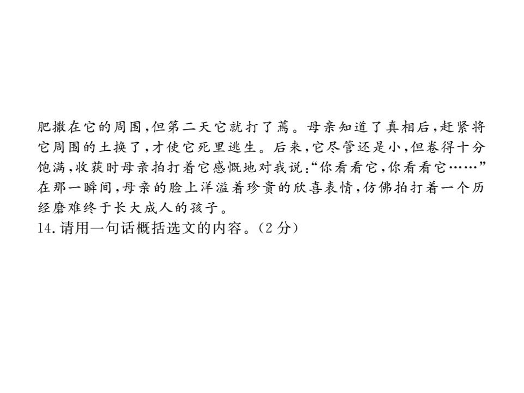 苏教版七年级语文上册第二单元检测卷（PDF）