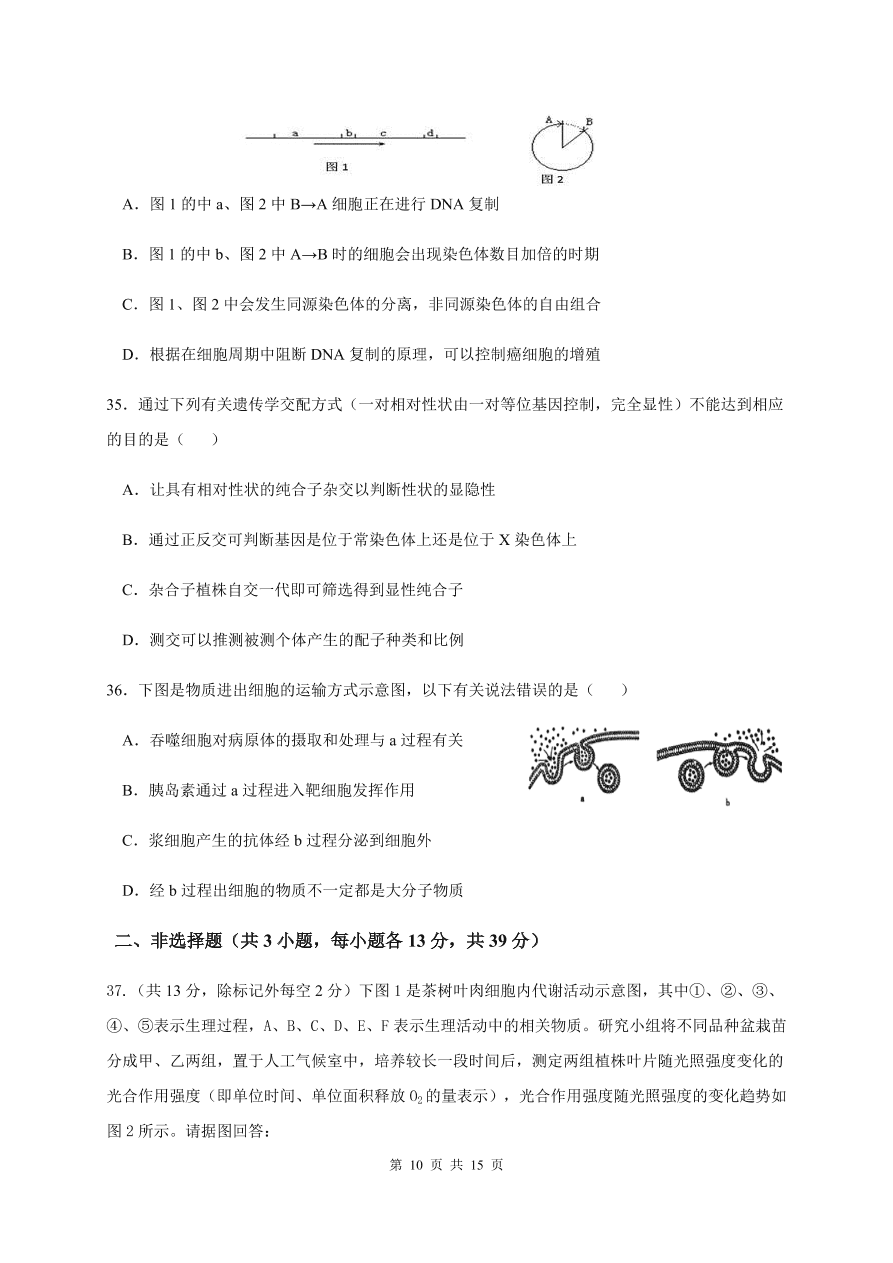 吉林省长春市第五中学2021届高三生物上学期期中试题（Word版含答案）