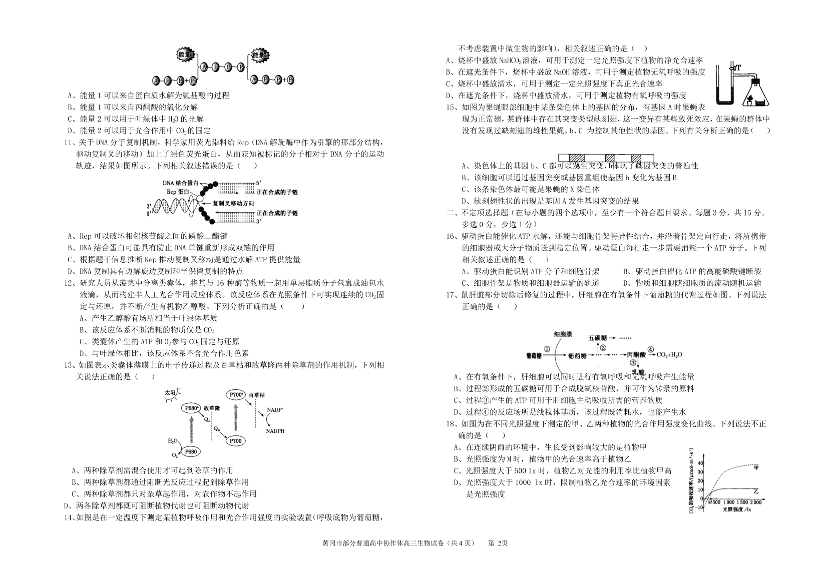 湖北省黄冈市部分普通高中2021届高三生物12月联考试卷（附答案Word版）