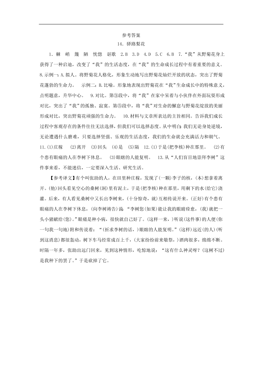 新人教版 七年级语文下册第四单元 驿路梨花 复习习题