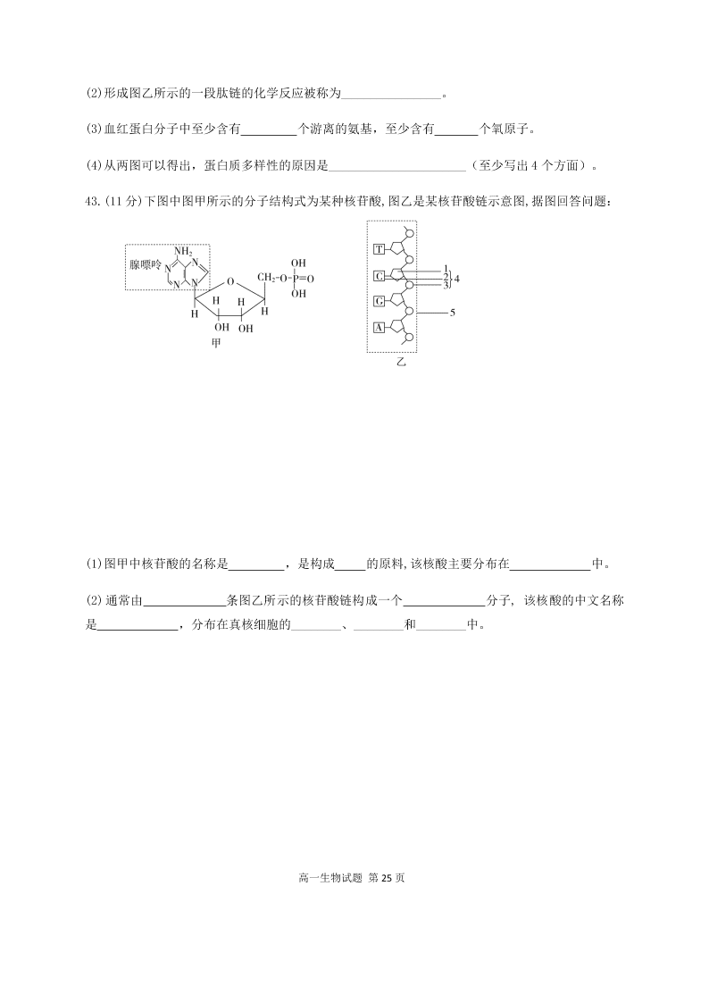 黑龙江省哈尔滨市第六中学2020-2021高一生物10月月考试卷（Word版附答案）