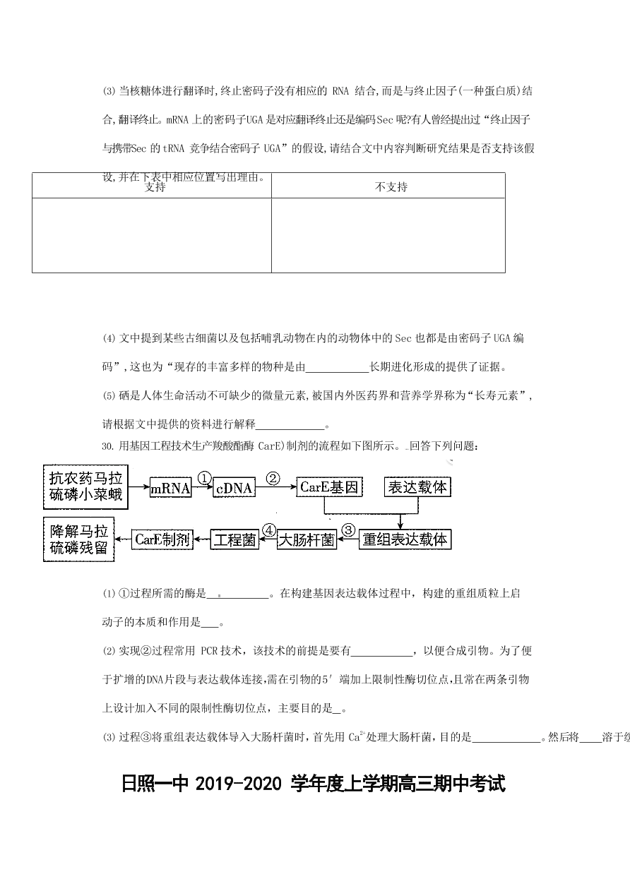 山东省日照市第一中学2020届高三生物上学期期中试题（Word版附答案）