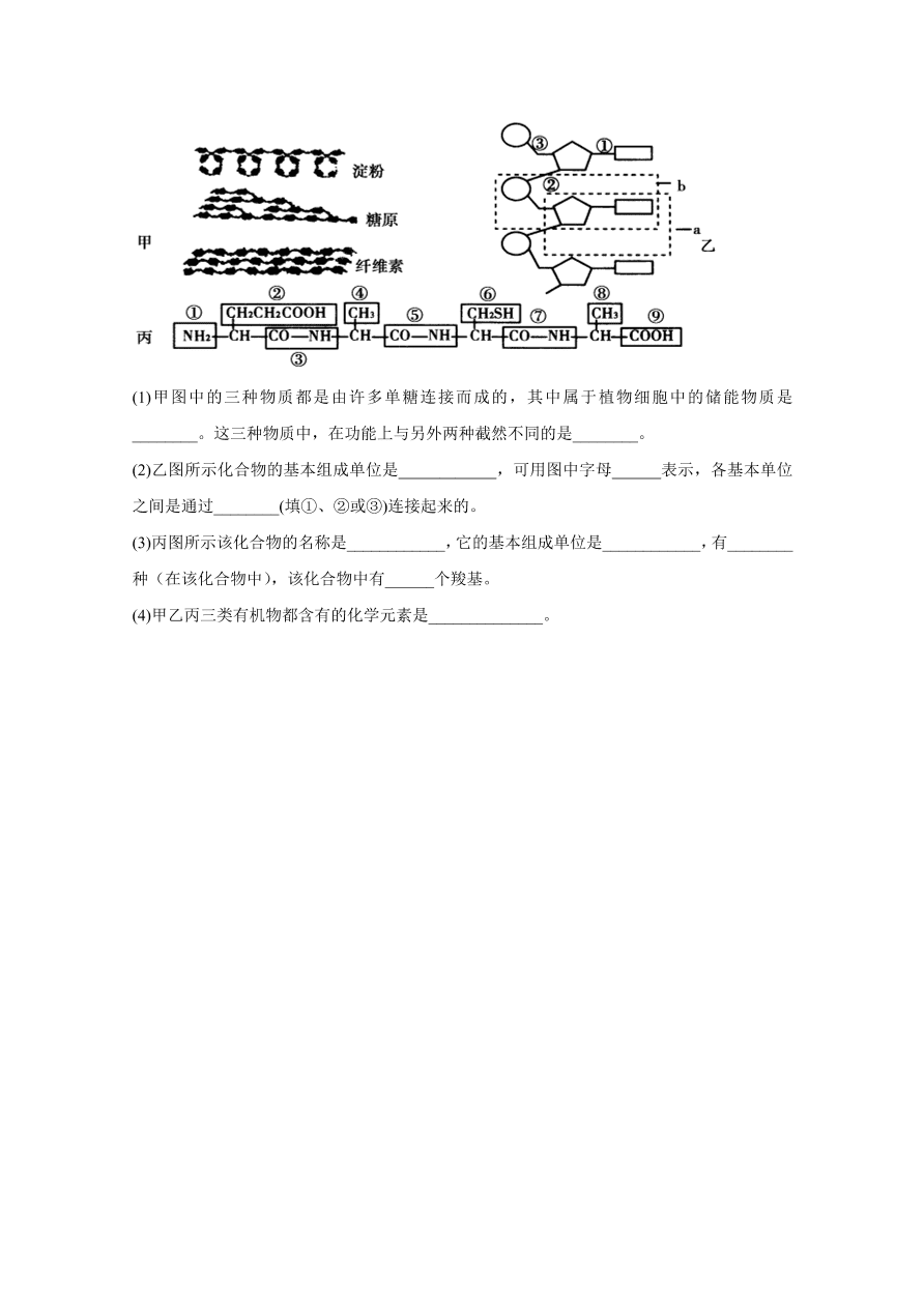 吉林省长春市第五中学2020-2021高一生物上学期期中试题（Word版含答案）