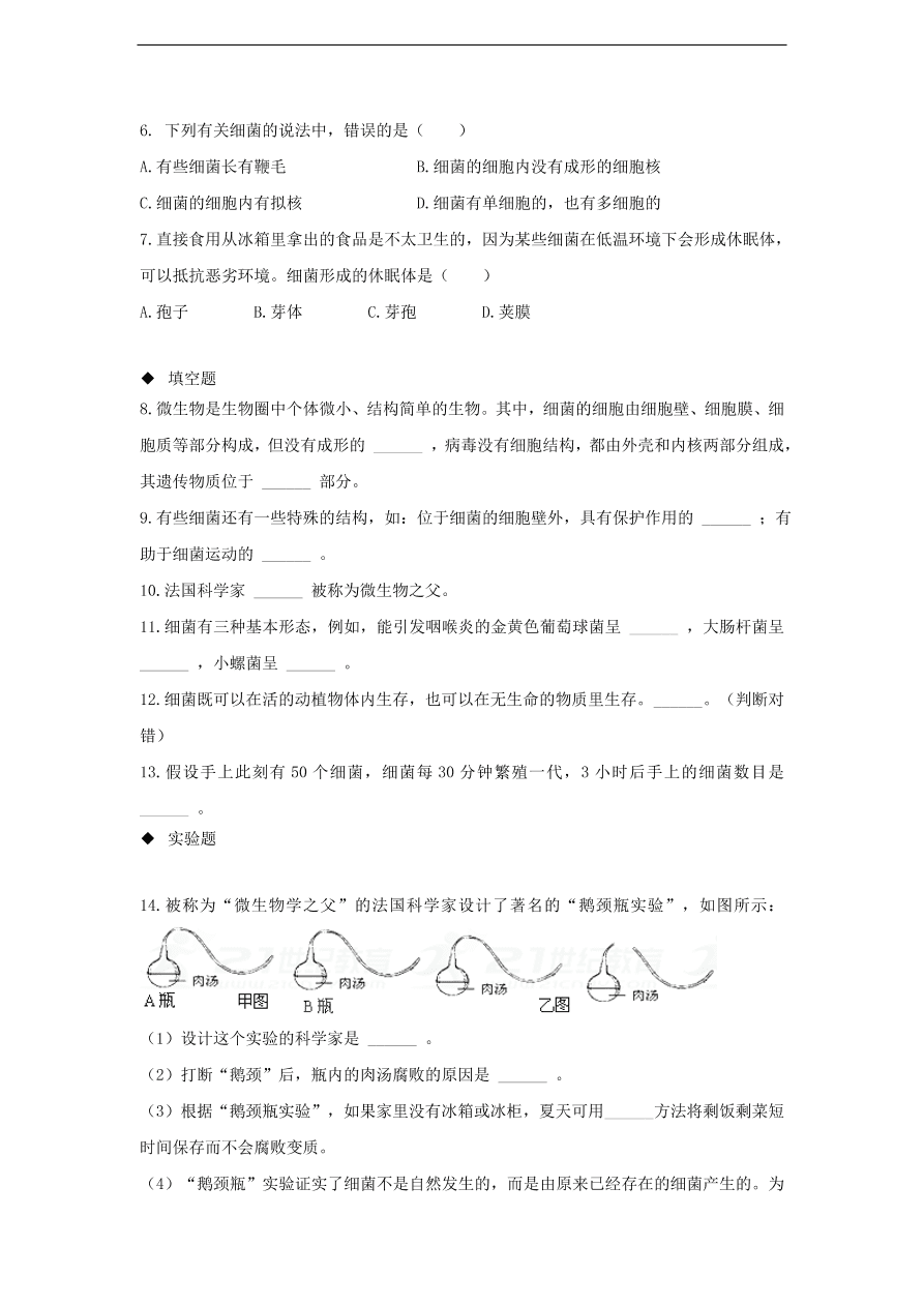 人教版八年级生物上册《细菌》同步练习及答案