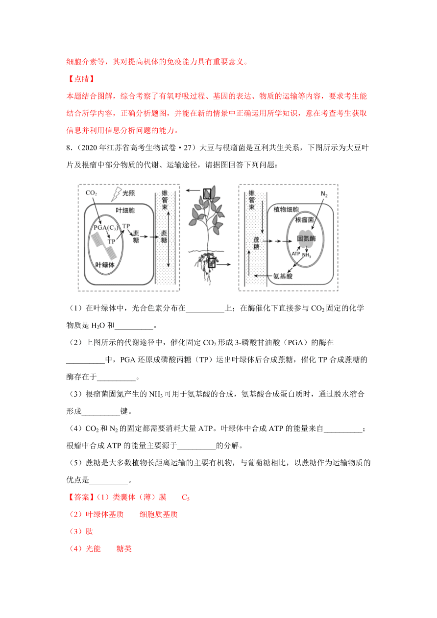 2020-2021学年高三生物一轮复习易错题03 细胞的代谢2（光合与呼吸）