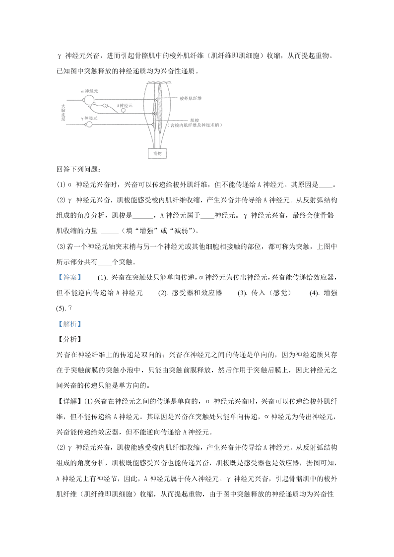 河北衡水中学2020届高三生物下学期第五次调研试题（Word版附解析）