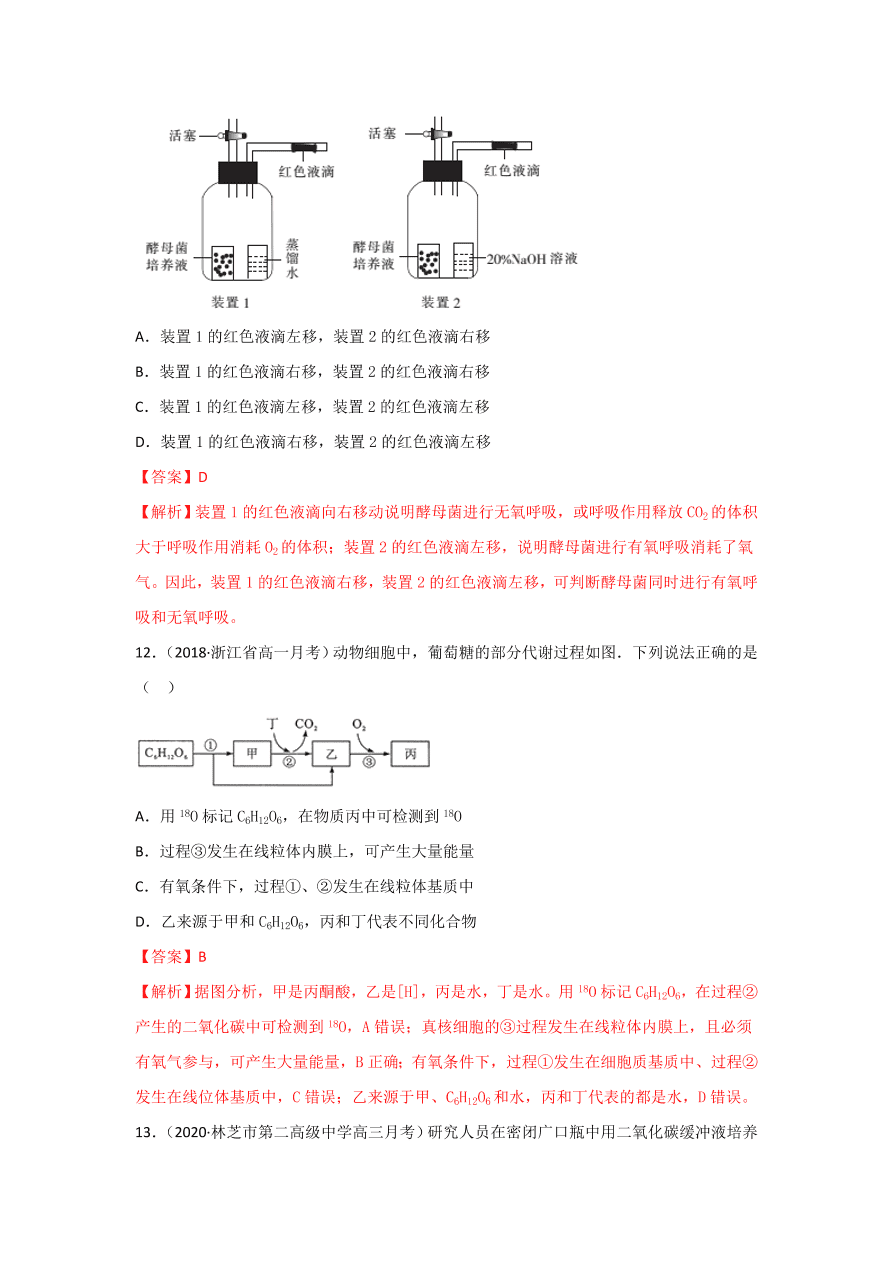 2020-2021学年高三生物一轮复习专题08 细胞呼吸（练）