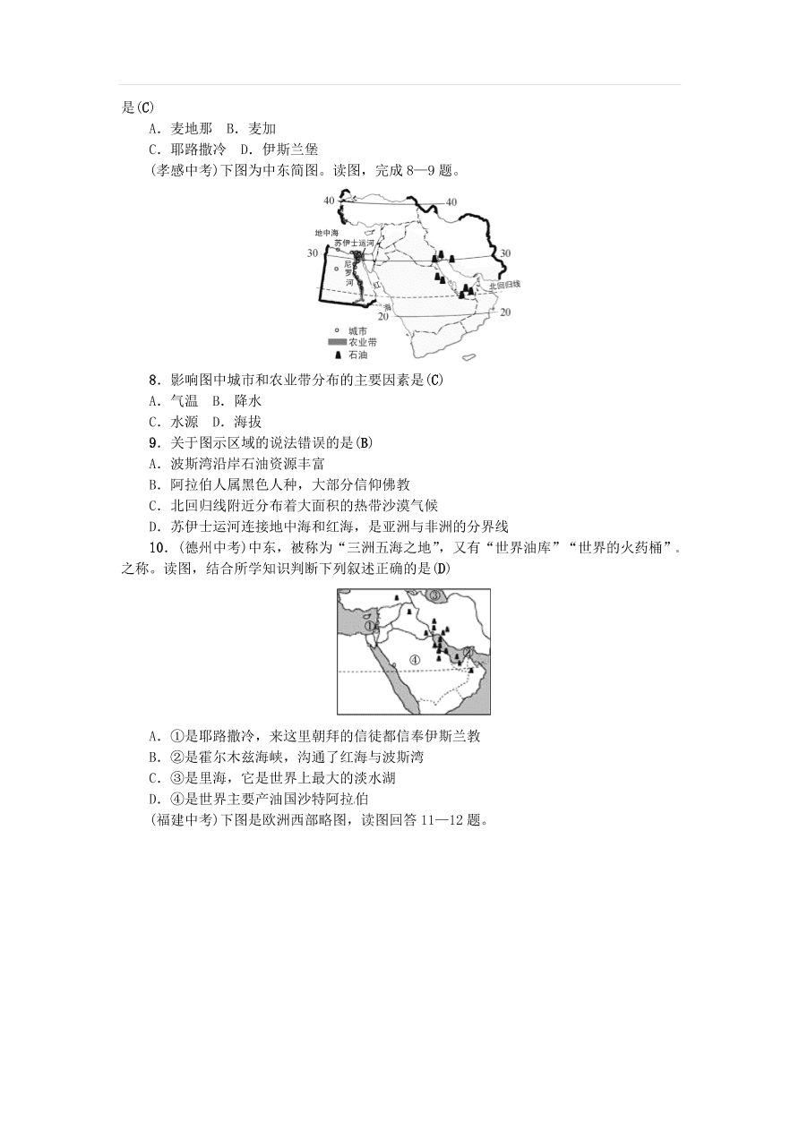 中考地理七年级上册第7章东半球其他地区和国家复习练习