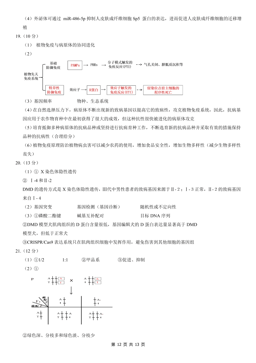 北京市朝阳区2021届高三生物上学期期中试题（Word版附答案）