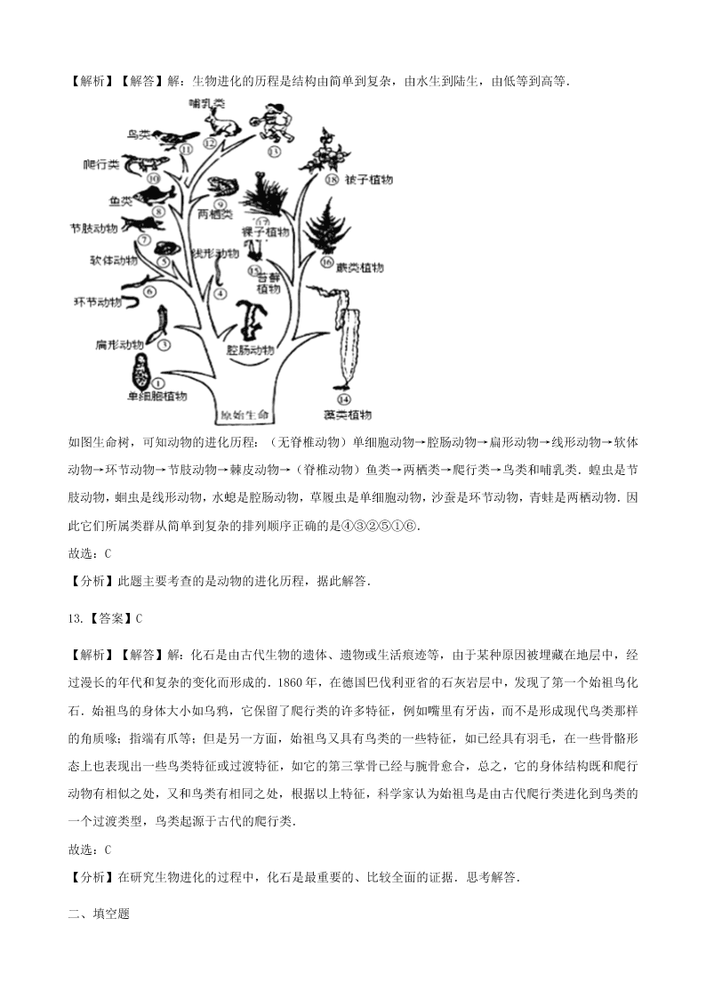 人教版八年级下生物第七单元第三章第二节生物进化的历程  同步练习（答案）